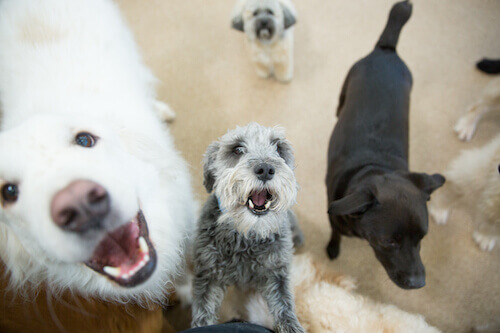 At-Home-Dental-Care-1